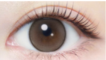 ワンデーナチュラル