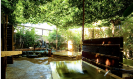 ウェルネスの森 