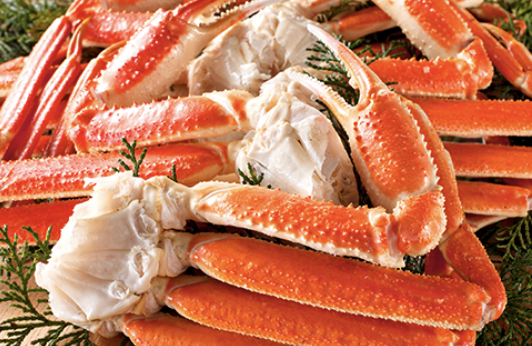 ボイル本ずわい蟹足